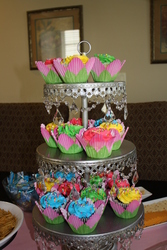 Img_9113_medium