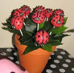 Ladybug_party_3404_edited-1_medium