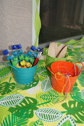 Dsc07246_medium