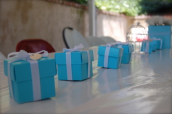 Dsc_0009_medium