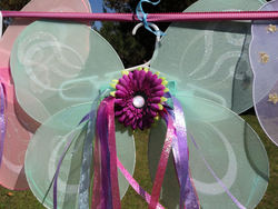Dsc02584_medium