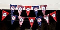 Pap_4th_of_july_kit_banner__2__medium