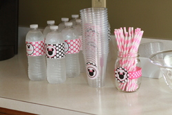 Minnie_hot_pink_black_water_bottle_medium