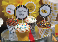 Cupcakes-w-watermark_medium