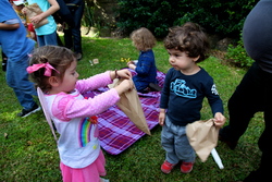 Img_2709_medium