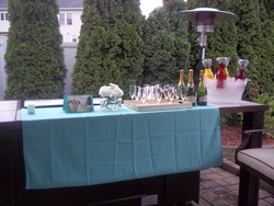 Marta_s_bridal_shower_004_medium