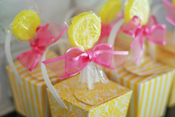 Dsc00328_adj_medium