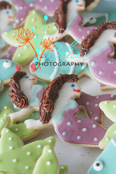 Img_2021sample_medium