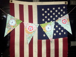 Dt_bunting_medium