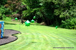 Dsc_0067_medium