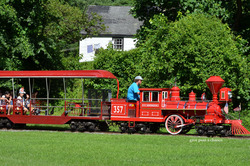 Dsc_8462_copy_medium
