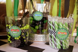 Tmnt_party_059_medium