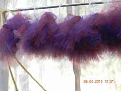 Dscn0021_medium