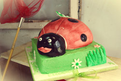 Ldybgcake_medium
