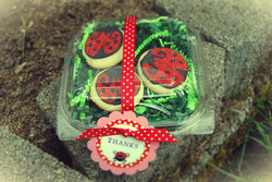 Ldybgpartyfavor_medium