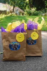 Boys_goody_bags_medium