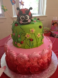 Ladybug_medium
