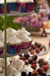 Strawberrycupcakes_medium