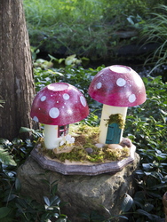 P1060088_medium