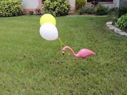 20130819_48_medium