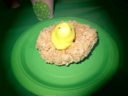 2013_camera_341_medium