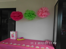 Sany0049_medium