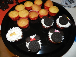 Dscn0617_medium