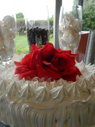 Dscn3833_medium
