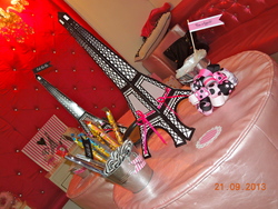 Dscn2456_medium