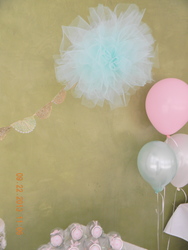 Fscn9596_medium