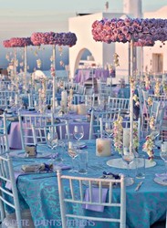 Elite_events_athens_lavender_wedding_-_tasos___peny__58__medium