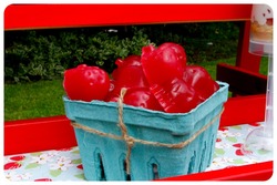 _mg_4401soapfavors_medium