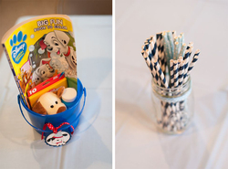 Puppydetails7_medium