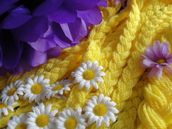 Dsc02791_medium