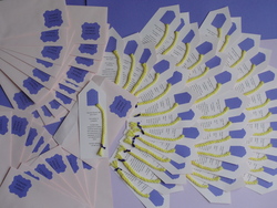 Dsc02725_medium