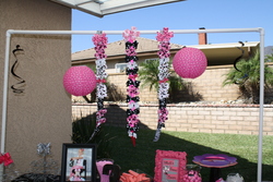 Img_7979_medium