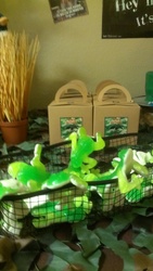 Gummy_frogs_2_medium