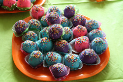 Img_4991_copy_medium