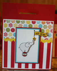 Img_4367_copy_medium