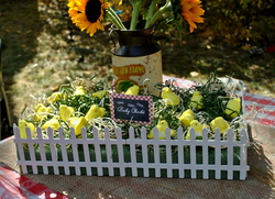 Dsc_0266_medium