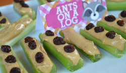 Zperfect_party_ants_on_a_log_medium