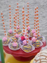 Dscn2861_medium