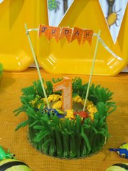 Img_1004_medium