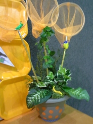 20131109_160301_medium