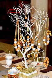 Img_1369_medium