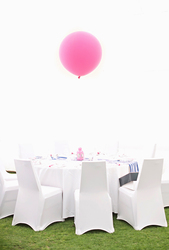 Mli_5456_copy_medium
