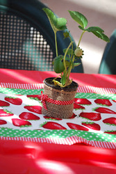 Dsc_0352_medium