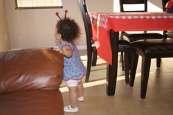 Dsc01992_medium