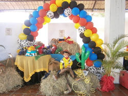 Pc070037_medium