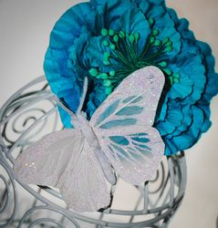 Dsc_0054_edited_medium